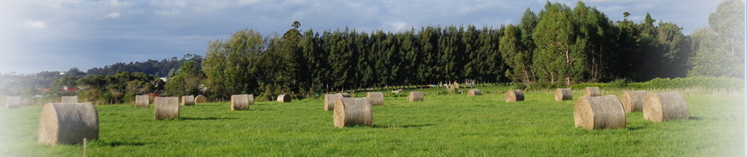 The practical application of circular bundling machine
